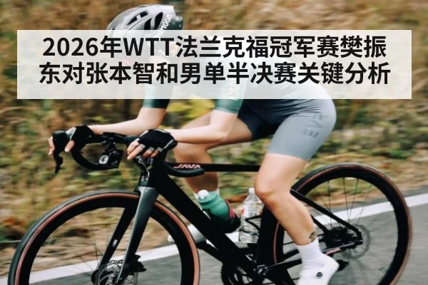 2026年WTT法兰克福冠军赛樊振东对张本智和男单半决赛关键分析